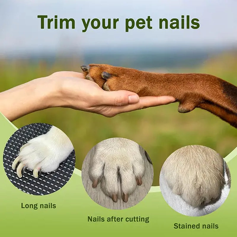 Petlovers 2-in-1 Rechargeable Electric Nail Clipper and Grinder for Dogs and Cats - Ultra Quiet Design for All Sizes